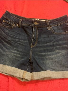 Time and Tru Dark Blue Rolled Cuff Denim Shorts